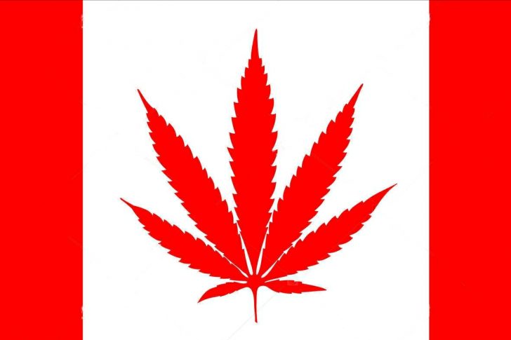 10月17日，加拿大最愚蠢的一天~